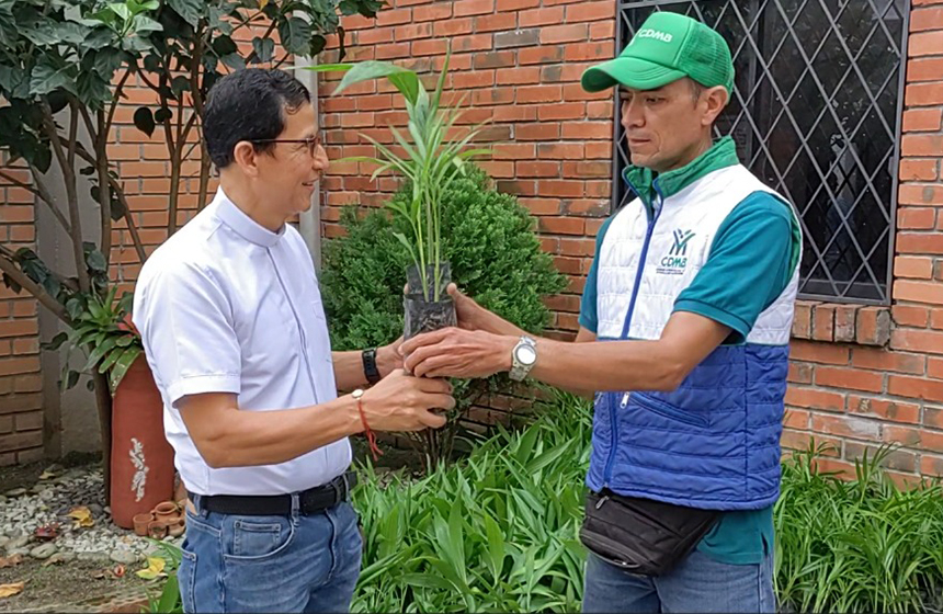 CDMB inició la entrega de más de 25 mil palmas como medida de conservación durante esta Semana Santa