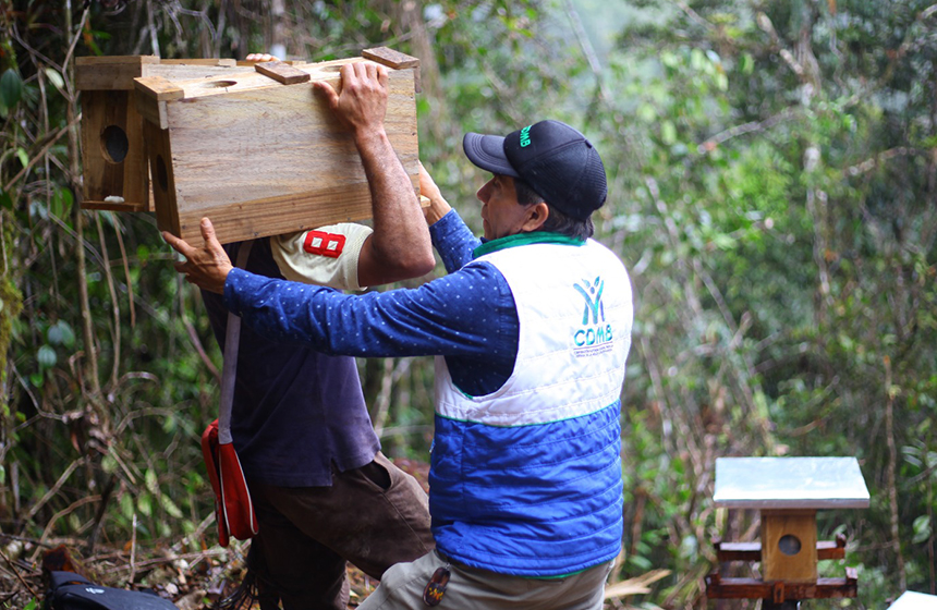 La CDMB instó a las alcaldías a crear los equipos de trabajo élite de manejo y control de abejas urbanas