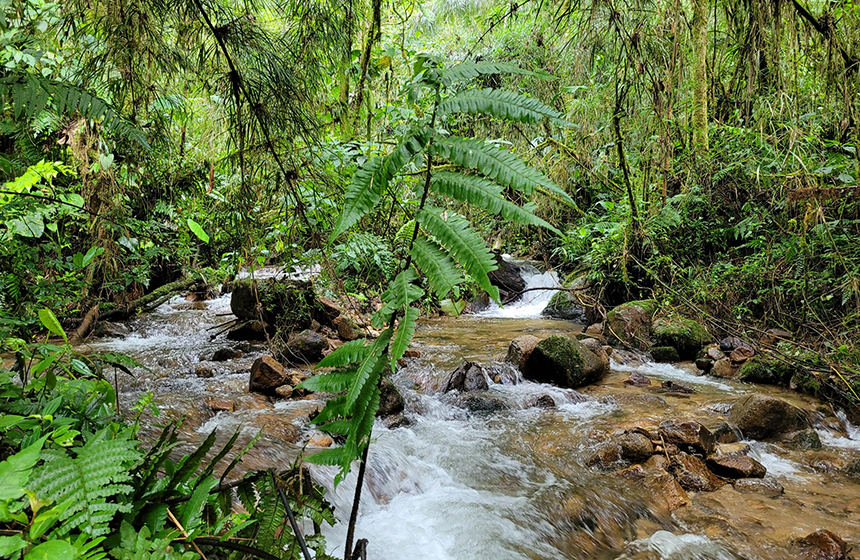 La riqueza natural del territorio CDMB hará parte del encuentro de biodiversidad más importante del mundo